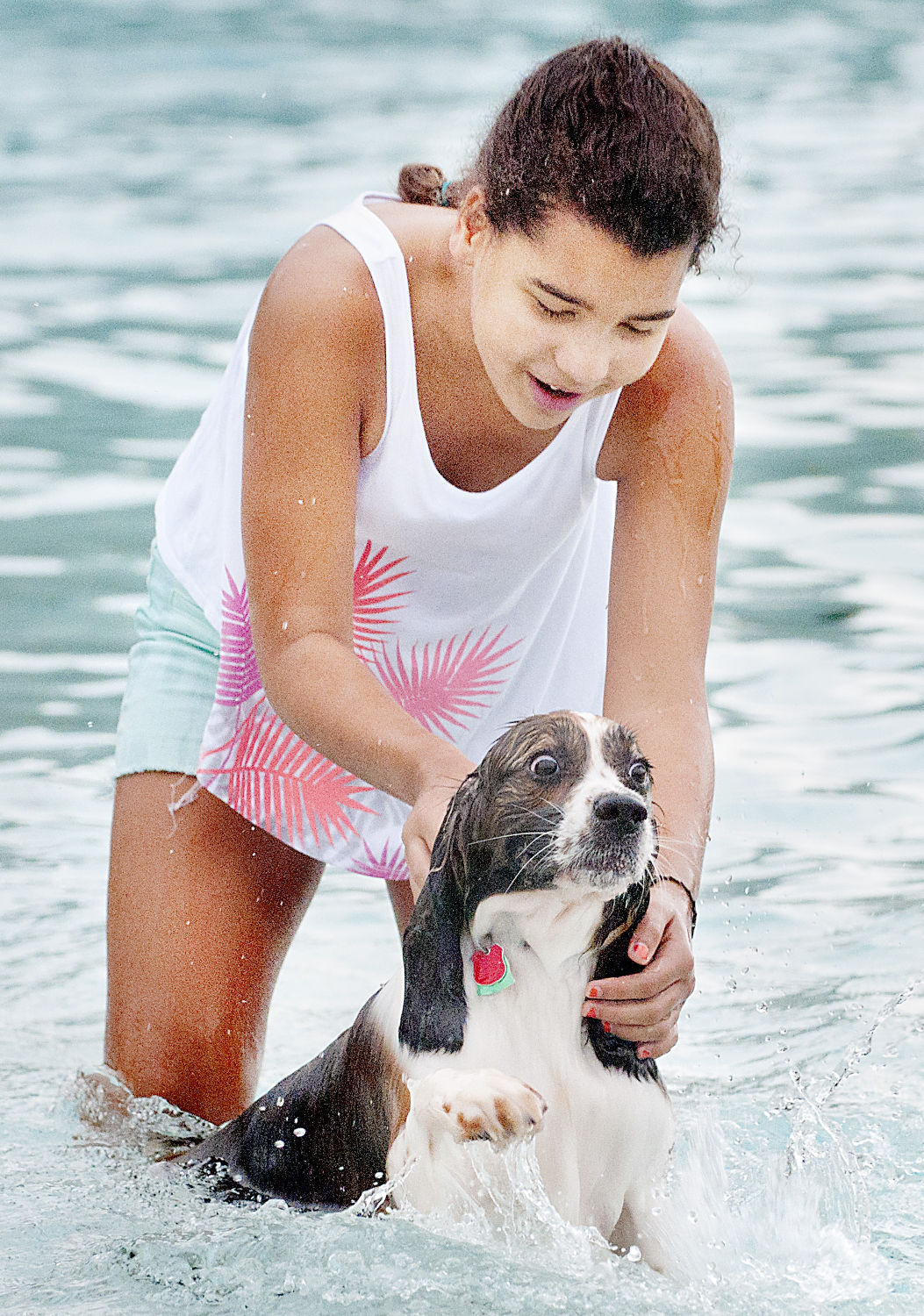 Pooch Paddle